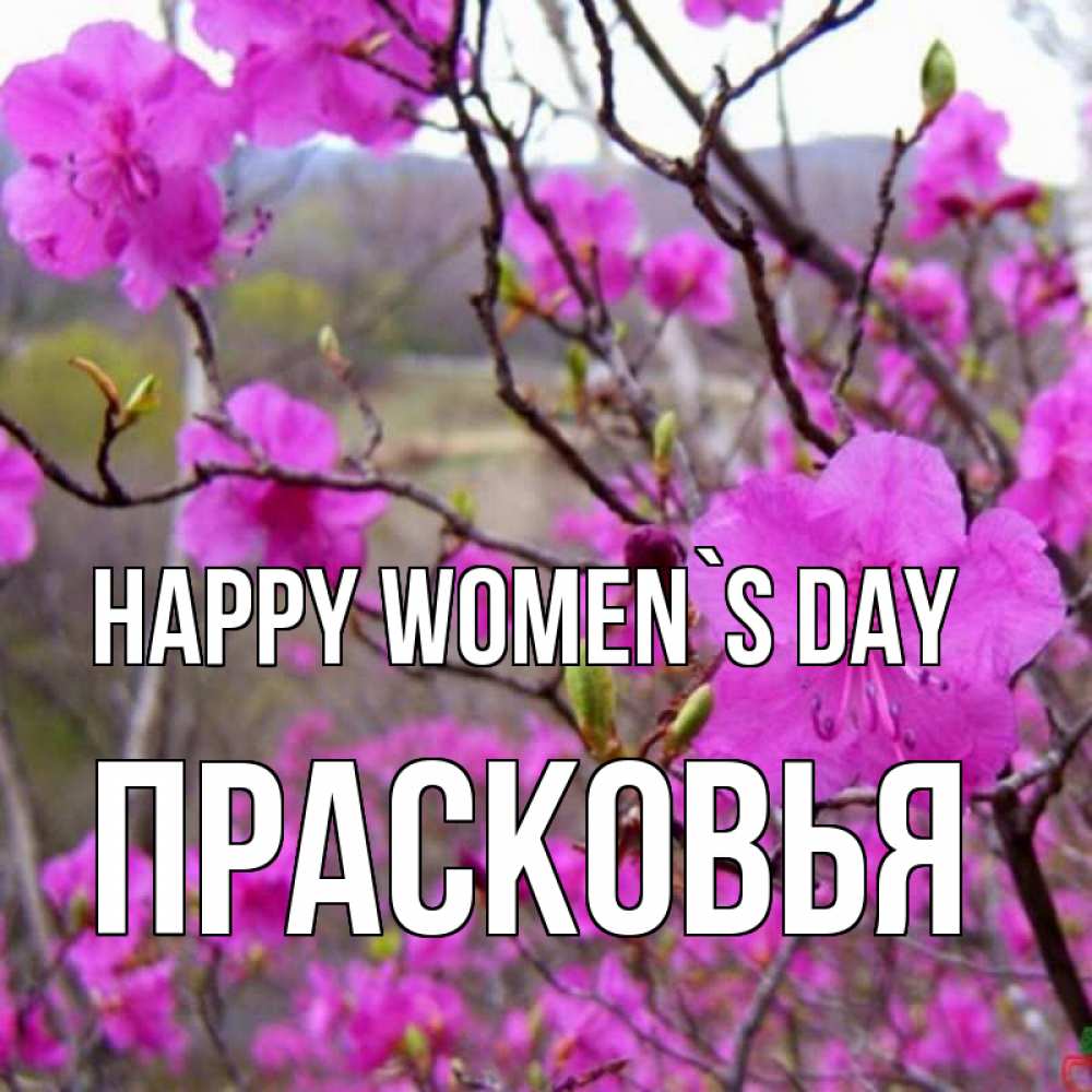 Greetings card с именем, Прасковья happy women`s day международный женский день Greetings with text for free download 
